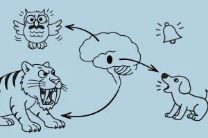 Illustration eines Gehirns mit einer Eule, einem bellenden Hund und einem Säbelzahntiger: Die Grafik zeigt, wie das Alarmsystem im Gehirn aktiviert wird und Denken blockiert, wenn Reden nicht mehr hilft und Kinder in den Überlebensmodus wechseln.